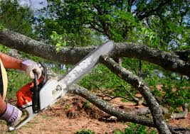 Best Utility Line Clearance  in Gages Lake, IL